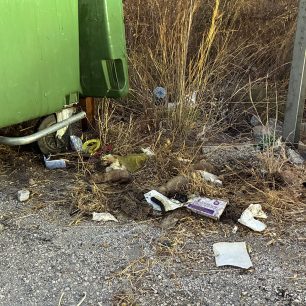Ερμιόνη Αργολίδας: Πέταξε νεογέννητα κουτάβια στα σκουπίδια – Και τα 6 βρέθηκαν νεκρά (βίντεο) 3 ErmioniArgolidasNekraKoutaviaKados14 9 2026 1