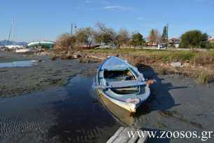 Με θερμικές κάμερες ερευνητές της «iSea» κατέγραψαν ψαράδες που νύχτα παρανόμως ψαρεύουν στον Αμβρακικό και τον καταστρέφουν (βίντεο)