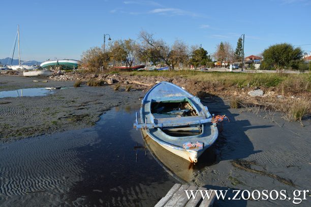 Με θερμικές κάμερες ερευνητές της «iSea» κατέγραψαν ψαράδες που νύχτα παρανόμως ψαρεύουν στον Αμβρακικό και τον καταστρέφουν (βίντεο)