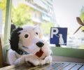 «Ο Μίλτος» ο λούτρινος αδέσποτος σκύλος της Ξένιας Καλογεροπούλου πρωταγωνιστεί στο Κουκλοθέατρο της Αλεξίας Αλεξίου και φέτος