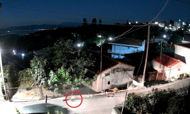 Μύλοι Φθιώτιδας: Οδηγός πατάει με Ι.Χ. γάτα και εξαφανίζεται (βίντεο)