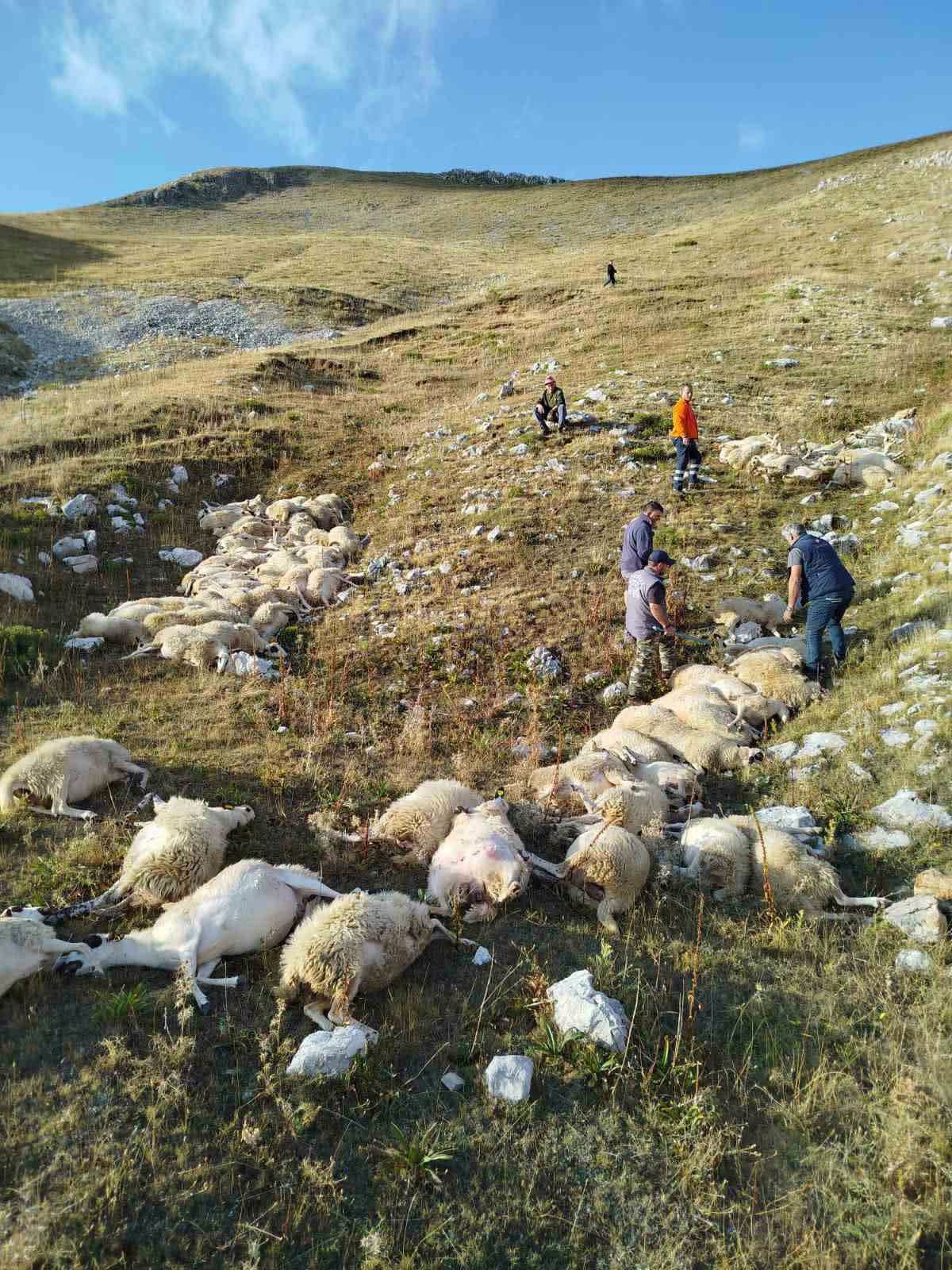 Από κεραυνό σκοτώθηκαν 88 πρόβατα στη Μικρή Γότιστα Ιωαννίνων (βίντεο) 1 ProvataNekraKeravnosMikriGotisa22 9 2026 1