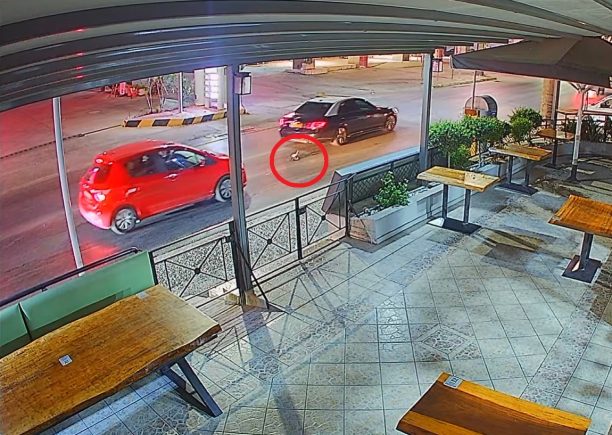 Ρόδος: Οδηγοί πάτησαν και σκότωσαν γάτα στην Ιαλυσό και αστυνομικός απείλησε μάρτυρα που το κατήγγειλε (βίντεο)