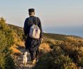 «Η επιβίωση δεν είναι ευζωία» - Το μήνυμα του Φιλοζωικού Σωματείου Σίφνου για όσα κάνουν στα σκυλιά οι ιδιοκτήτες τους