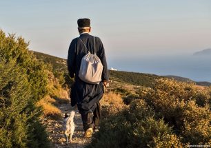 «Η επιβίωση δεν είναι ευζωία» - Το μήνυμα του Φιλοζωικού Σωματείου Σίφνου για όσα κάνουν στα σκυλιά οι ιδιοκτήτες τους