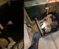 Θεσσαλονίκη: Πυροσβέστες έσωσαν σκύλο που έπεσε σε λακκούβα του Δ.Ε.Δ.Δ.Η.Ε. (βίντεο)