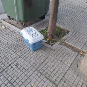 Αργυρούπολη Αττικής: Ακόμα ένα κουνέλι πεταμένο σαν σκουπίδι… 1 ArgyroupoliAttikisKouneli25 10 2026 2