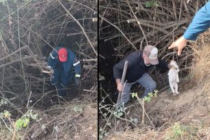 Ελευθερούπολη Καβάλας: Πυροσβέστες έσωσαν κουτάβι που εγκλωβίστηκε σε ρέμα (βίντεο)