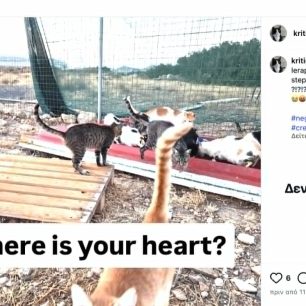 KoutsounariLasithiouGatesKriticatInstagram 5