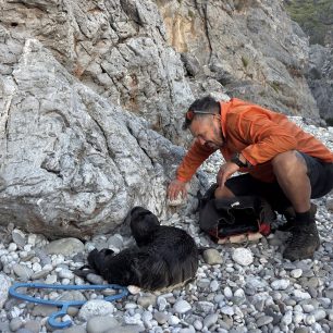 Επιχείρηση διάσωσης για ένα μωρό φώκιας στα Κύθηρα - Όλοι ελπίζουν να τα καταφέρει 1 KythiraFokiaMoroDiasosi17 10 2026 2