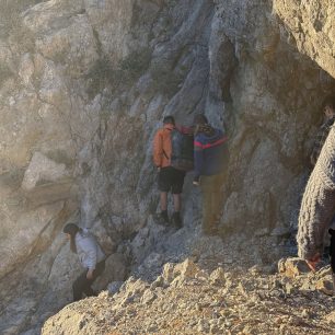 Επιχείρηση διάσωσης για ένα μωρό φώκιας στα Κύθηρα - Όλοι ελπίζουν να τα καταφέρει 3 KythiraFokiaMoroDiasosi17 10 2026 4