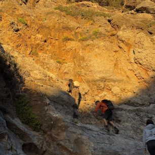 Επιχείρηση διάσωσης για ένα μωρό φώκιας στα Κύθηρα - Όλοι ελπίζουν να τα καταφέρει 4 KythiraFokiaMoroDiasosi17 10 2026 5