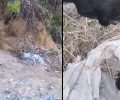 Λούμπα Αττικής: Έκλεισε τρία κουταβάκια σε τσουβάλι και τα πέταξε σε γκρεμό για να τα σκοτώσει (βίντεο)