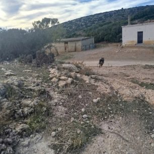 Κρήτη: 25 κομμάτια δηλητηριασμένο ζαμπόν η φόλα που βρέθηκε σε Καταφύγιο Άγριας Ζωής στο Μάρτσαλο Ηρακλείου 8 MartsaloIrakleiouKritisDilitiriasmenoZamponFola7 10 2026 2