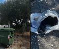 Παλατίτσια Ημαθίας: Βρήκε τέσσερα νεογέννητα κουτάβια σε σακούλες πεταμένα σε κάδο
