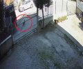 Πατρίδα Ημαθίας: Οδηγός φορτηγού πάτησε και σκότωσε σκύλο – Οδηγούσε με μεγάλη ταχύτητα εντός οικισμού (βίντεο)