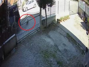 Πατρίδα Ημαθίας: Οδηγός φορτηγού πάτησε και σκότωσε σκύλο – Οδηγούσε με μεγάλη ταχύτητα εντός οικισμού (βίντεο)
