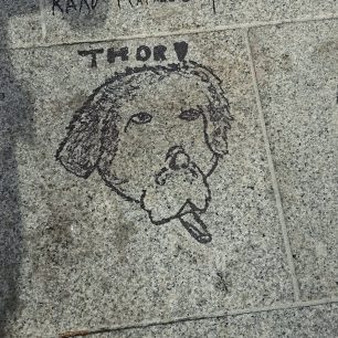 Παιδιά διαμαρτυρήθηκαν για τη δολοφονία σκυλιών με φόλες στη Ροδόπολη Σερρών (βίντεο) 7 RodopoliSerronPaidiaDiamartyrontaiFoles16 10 2026 2