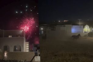 Σαντορίνη: Άλογο τρέχει πανικόβλητο από τους κρότους των πυροτεχνημάτων στο Εμπορειό (βίντεο)