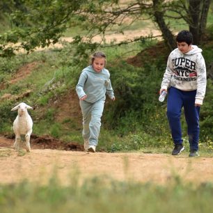 Τύρναβος Λάρισας: Άρπαξαν, έκλεψαν και έσφαξαν προβατίνα που φιλόζωοι τη φρόντιζαν από μωρό εδώ και έξι χρόνια 4 TyrnavosLarisasProvatoSfagmeno2020 4