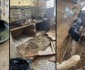 Εθελοντές καταγγέλλουν τις άθλιες συνθήκες διαβίωσης για δεκάδες σκυλιά, γάτες και κατσίκες σε ιδιωτικό χώρο στη Θέρμη Θεσσαλονίκης (βίντεο)