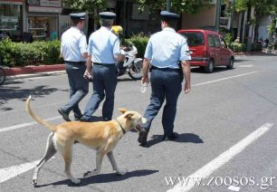 Παραδίδουν μαθήματα φιλοζωίας στους φοιτητές των Αστυνομικών Σχολών