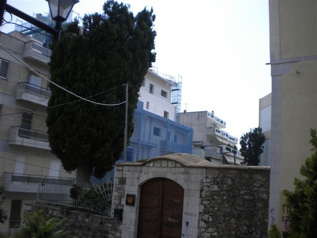 Ο Δήμος Λαμιέων έκοψε στη μέση αιωνόβια κυπαρίσσια για ανόητους λόγους 1 Kyparisia1