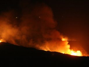 Οι δασικές πυρκαγιές στο μικροσκόπιο των επιστημόνων