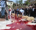 Απαγόρευση της βασανιστικής θρησκευτικής σφαγής των ζώων στην Ολλανδία‏