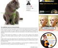 Απαράδεκτος είναι ο τρόπος που αντιμετωπίζει τις γάτες το www.queen.gr του Δημήτρη Γιαννακόπουλου