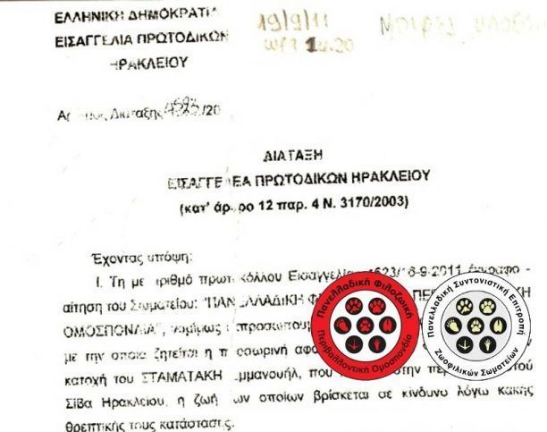 Η Εισαγγελία Πρωτοδικών Ηρακλείου παρεμβαίνει για τη σωτηρία τριών σκύλων στην Κρήτη