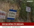 Κρήτη: O πατέρας του ψυχασθενή εκπαιδευτή σκότωσε το 1 από τα 3 σκυλιά που επέζησαν της σφαγής