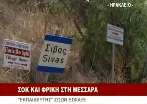 Κρήτη: O πατέρας του ψυχασθενή εκπαιδευτή σκότωσε το 1 από τα 3 σκυλιά που επέζησαν της σφαγής