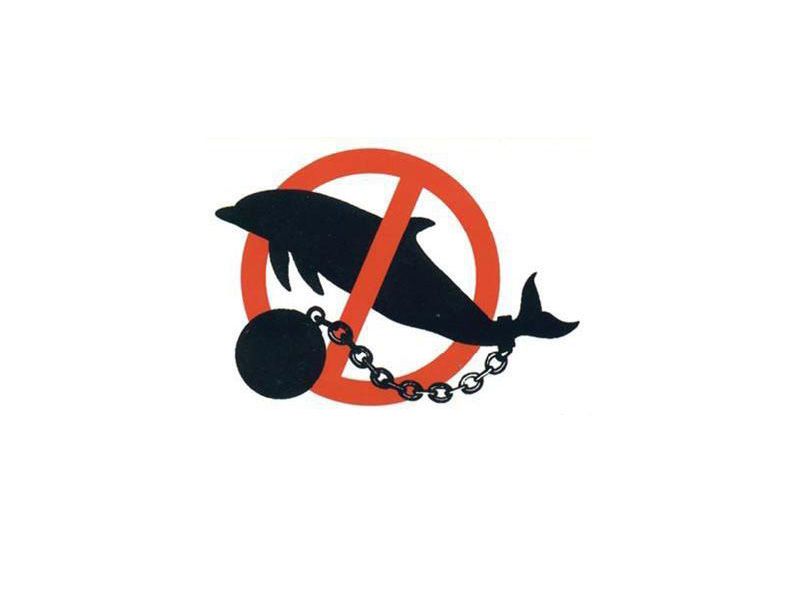 Αναρμόδιο το δικαστήριο για την εκμετάλλευση των δελφινιών και τις πολεοδομικές παραβάσεις στο Αττικό Ζωολογικό Πάρκο!