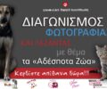 Διαγωνισμός φωτογραφίας και λεζάντας με θέμα τα «Αδέσποτα Ζώα»