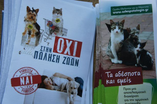Κατερίνα Ηλιάδη: «Τα δικαιώματα των ζώων»