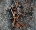 Αποκαλύφθηκε ταφή αλόγου και σκύλου από τους αρχαιολόγους στα Τρίκαλα