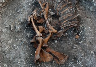 Αποκαλύφθηκε ταφή αλόγου και σκύλου από τους αρχαιολόγους στα Τρίκαλα
