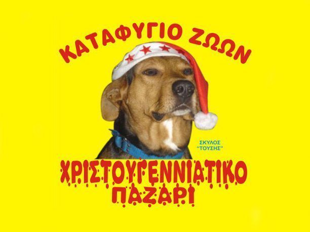 Αν πρόκειται να κάνετε μια μόνο καλή πράξη επισκεφθείτε το Καταφύγιο Αδέσποτων Ζώων