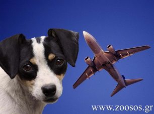 Καταγγέλλει την απαγόρευση εκ μέρους της Aegean Airlines να ταξιδέψει με την γυναίκα, το παιδί & 2 σκύλους – οδηγούς τυφλών ατόμων  