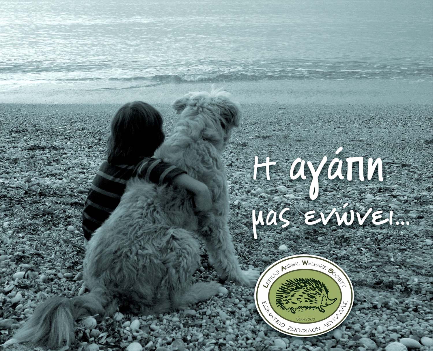 Οι φιλόζωοι της Λευκάδας φροντίζουν και τους απόρους του νησιού!