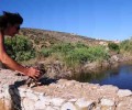 Καθαρισμός του Σχοινιά και απελευθερώσεις πουλιών στον Μαραθώνα