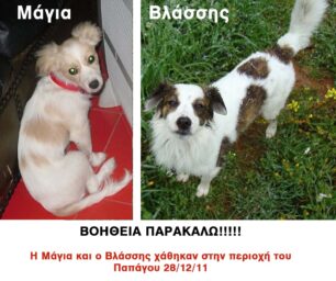 Χάθηκαν η Μάγια και ο Βλάσσης δύο σκυλιά στου Παπάγου
