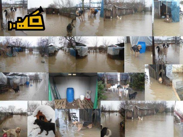 Καρδίτσα: Μετά την κλοπή και τα χιόνια η πλημμύρα χτύπησε και το καταφύγιο του Φ.Ο.Κ. (βίντεο)