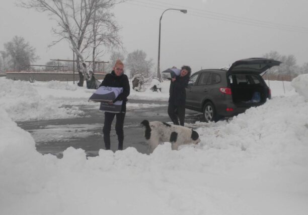 Μέσα στα χιόνια έτρεχαν να φροντίσουν τα σκυλιά του Κυνοκομείου Κατερίνης