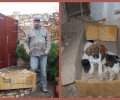 Πάρος: Πέταξαν κούτα με κουτάβια στον κάδο σκουπιδιών