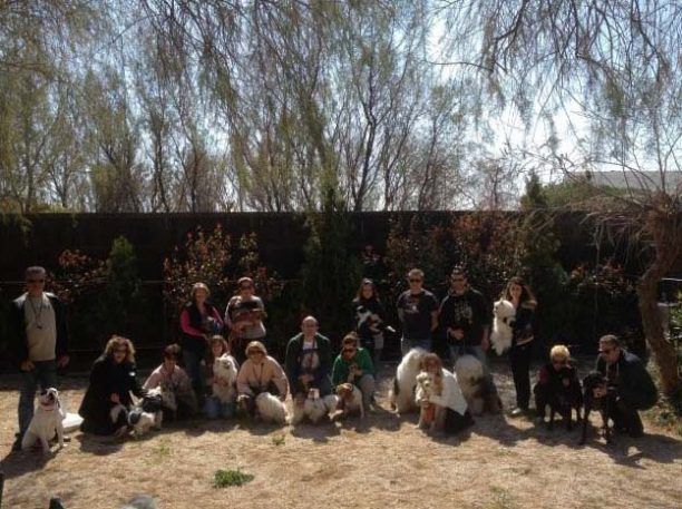 Βόλτα στη Μαρίνα Φλοίσβου για δίποδους και τετράποδους!