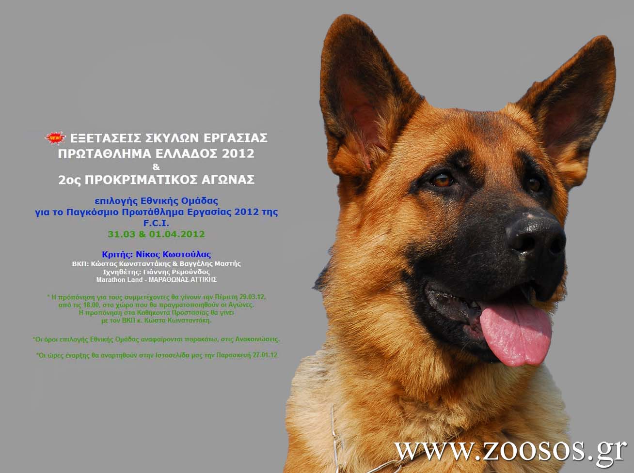 Θα συμμετάσχουν και ακρωτηριασμένα ζώα στους αγώνες; www.zoosos.grwww