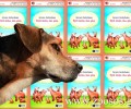 Κερδίστε το βιβλίο «Εφτά σκύλοι όλοι φίλοι»