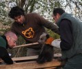 Γρεβενά: Βρέθηκε μωρό αρκουδάκι στην Κρανιά χωρίς τη μητέρα του